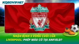 Nhận định 5 vòng cuối của Liverpool