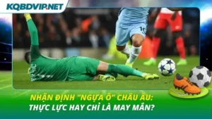 Nhận định "ngựa ô" Châu Âu